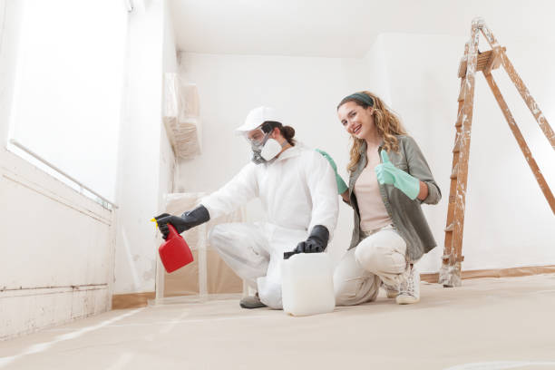 Best Attic Mold Removal  in Cibolo, TX